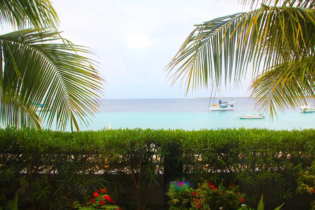 Bonaire Seaside Apartments Bagian luar foto