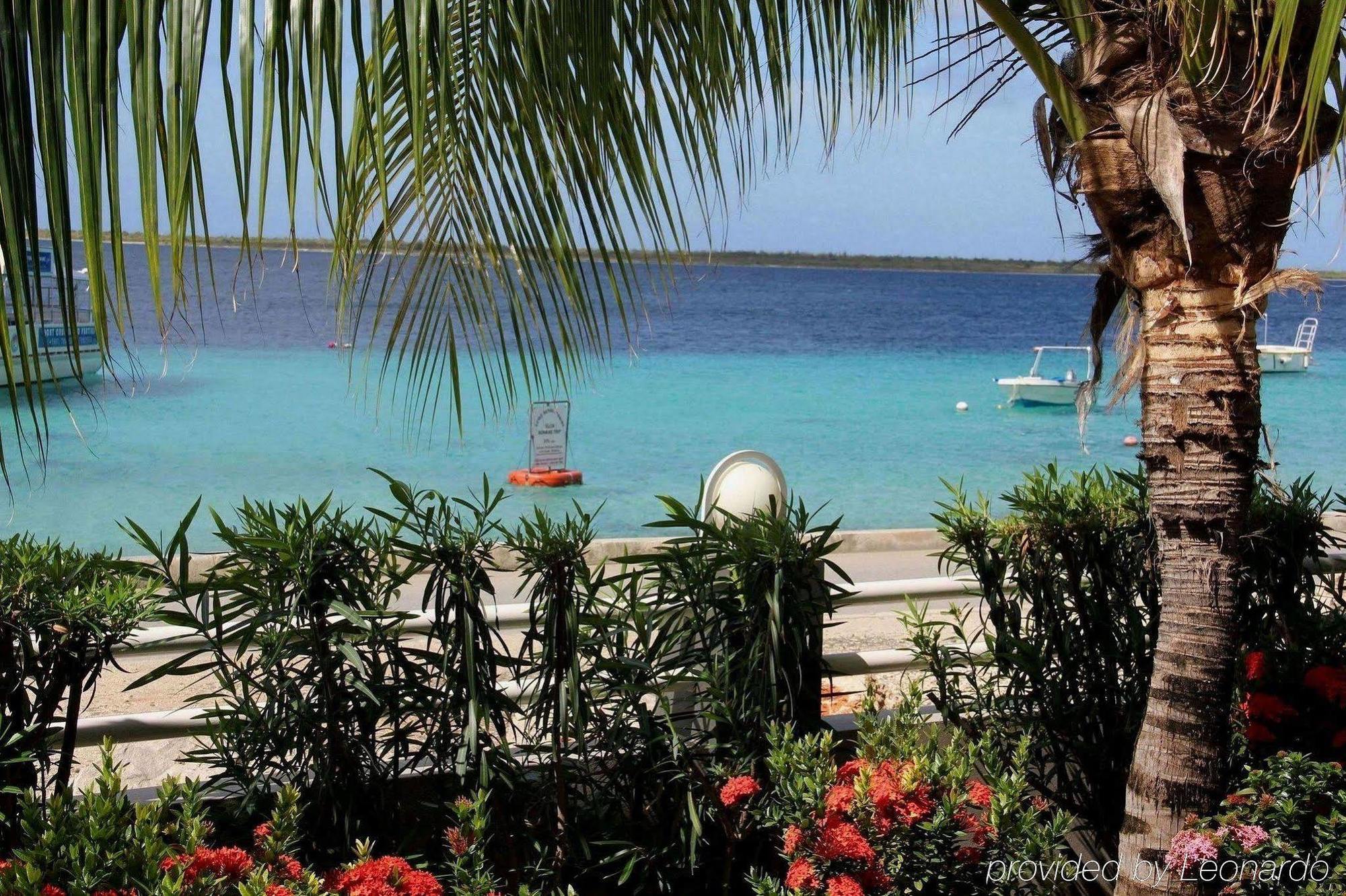 Bonaire Seaside Apartments Fasilitas foto