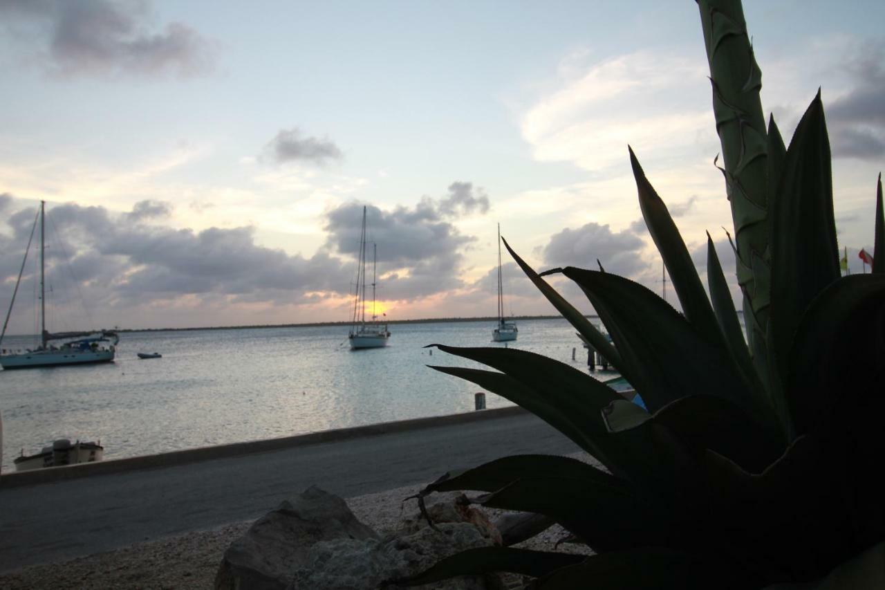 Bonaire Seaside Apartments Bagian luar foto